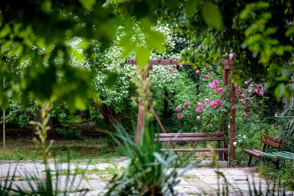 Green Apartment - Top Location, Near City Center! Sofia Bagian luar foto